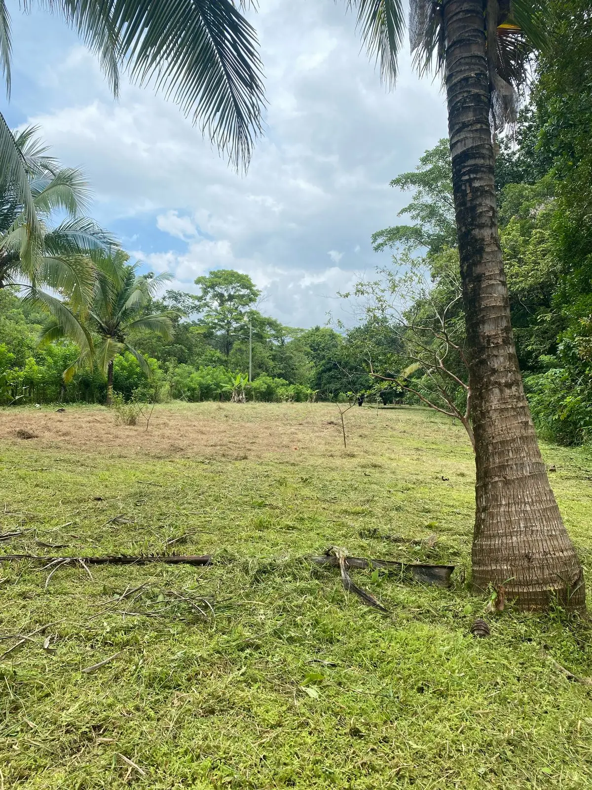Lote con casa y vista al río Carriazo | 4,565 m² | $150,000.00, imagen 4