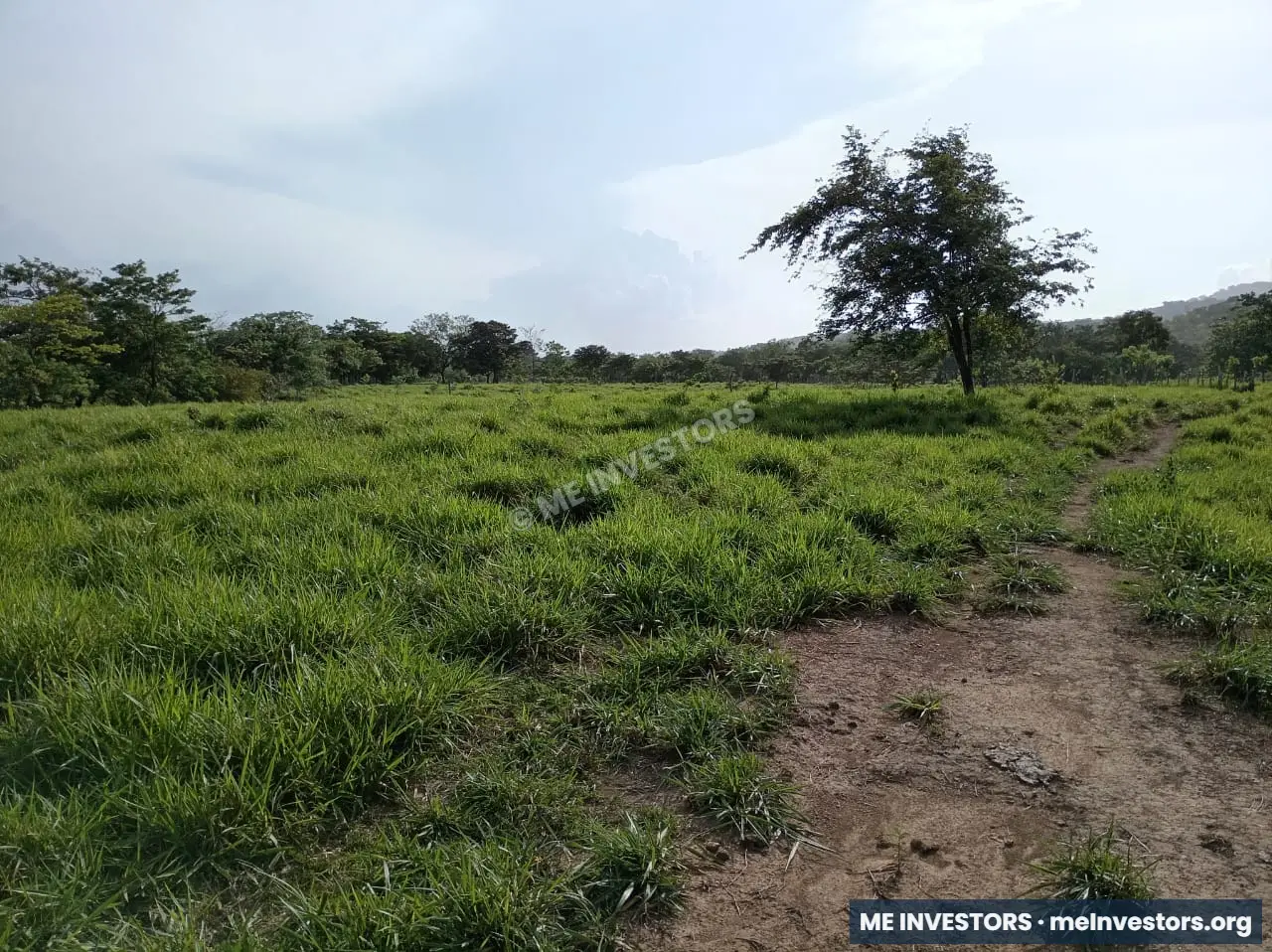 Finca | Chepo | 197,315.46 m², imagen 19