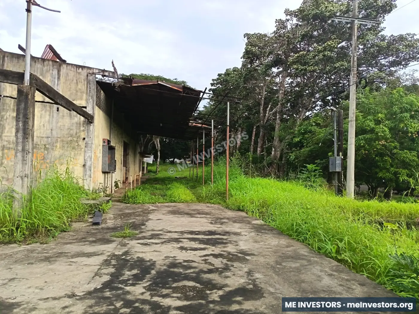 Terreno | Vía Ocú, Herrera | 2 hectáreas (20,000 m²) | $400,000, imagen 3