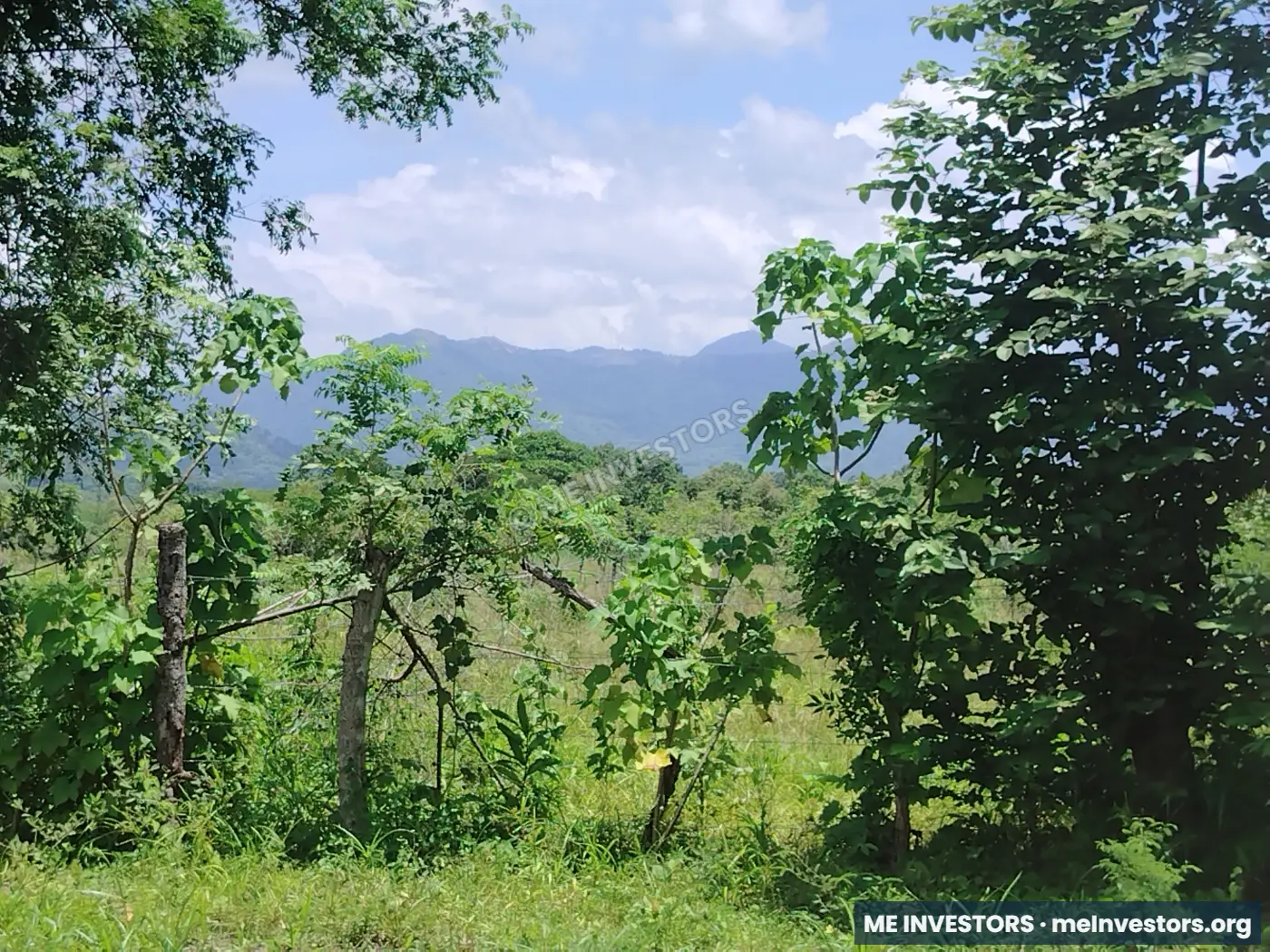 Lote | Coloncito, Chame | 1,000 m², imagen 8