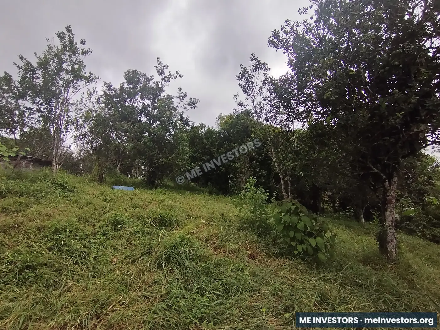 Lote | Trinidad Arriba, Capira | 25,548.32 m², imagen 13