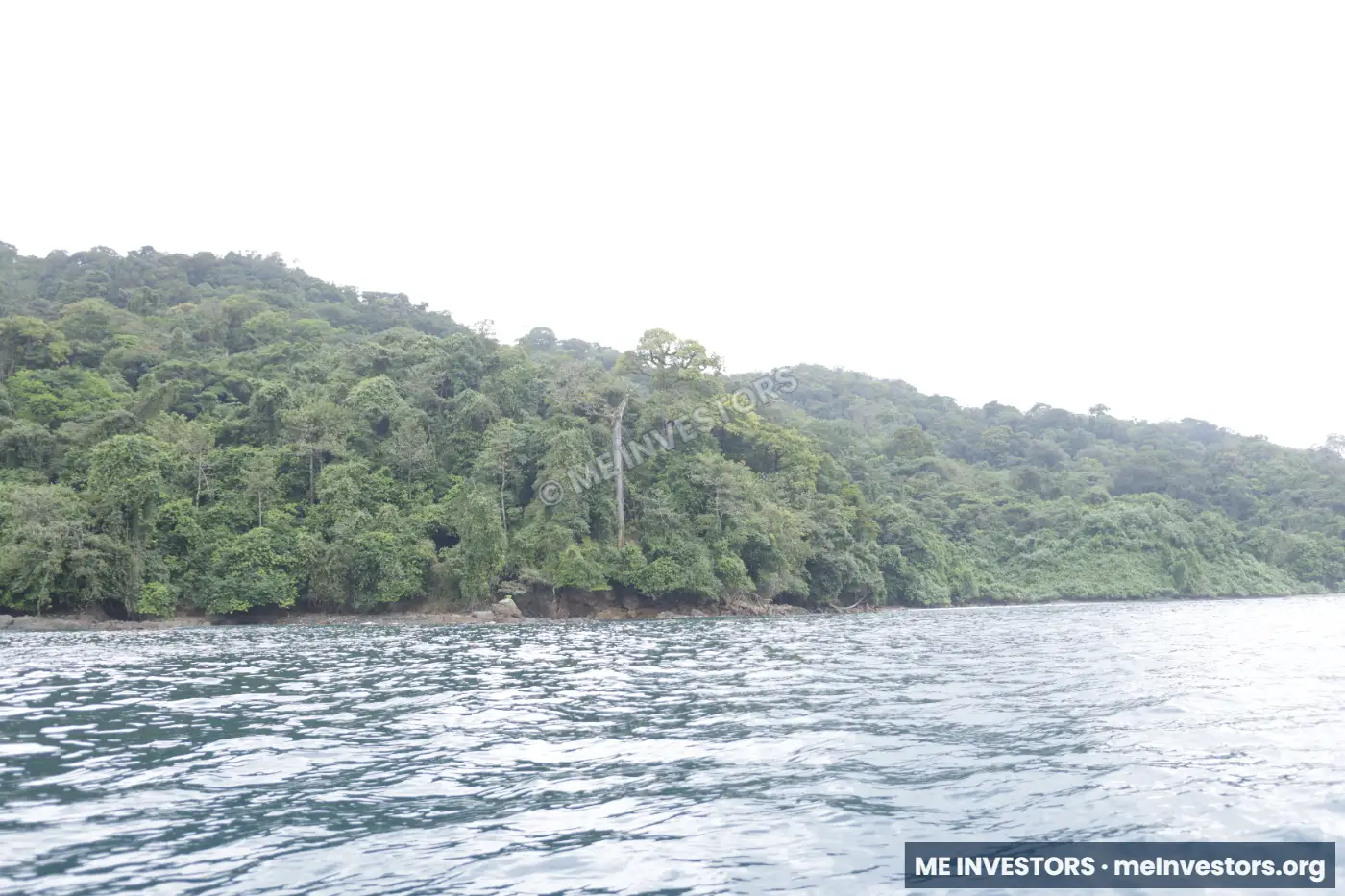 Bahía Piñas | 820 hectáreas | US$18,000,000, imagen 7