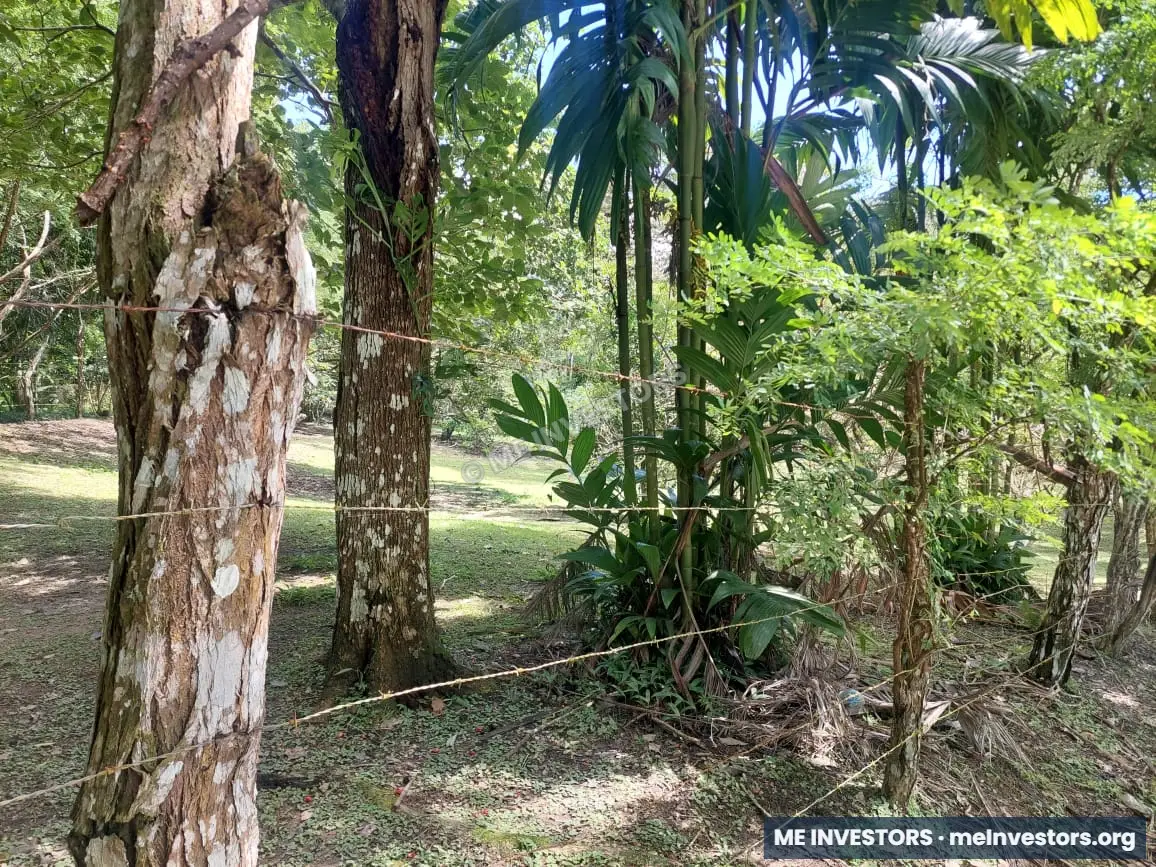 Lote Pajonal, Penonomé | 1,524.20 m² | $28,000.00, imagen 7
