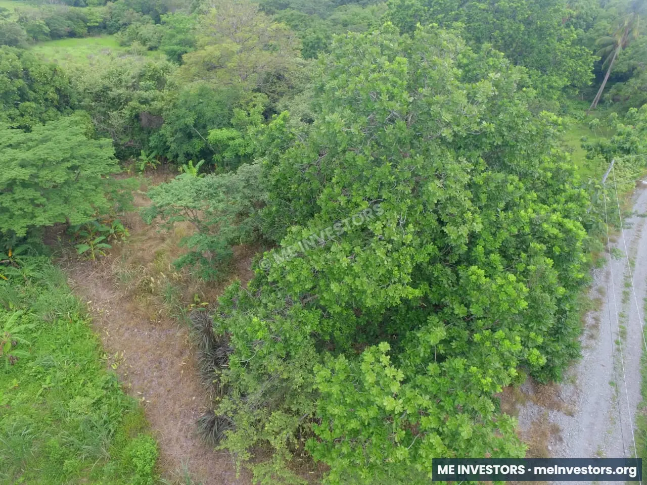 Lote El Jobo, Antón | 8,469.19 m² | $45,000.00, imagen 4