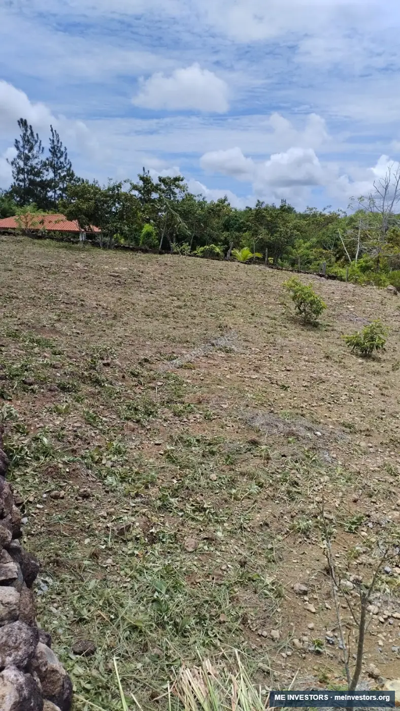 Lote | Santa Cruz, Penonomé | 1,000 m², imagen 19
