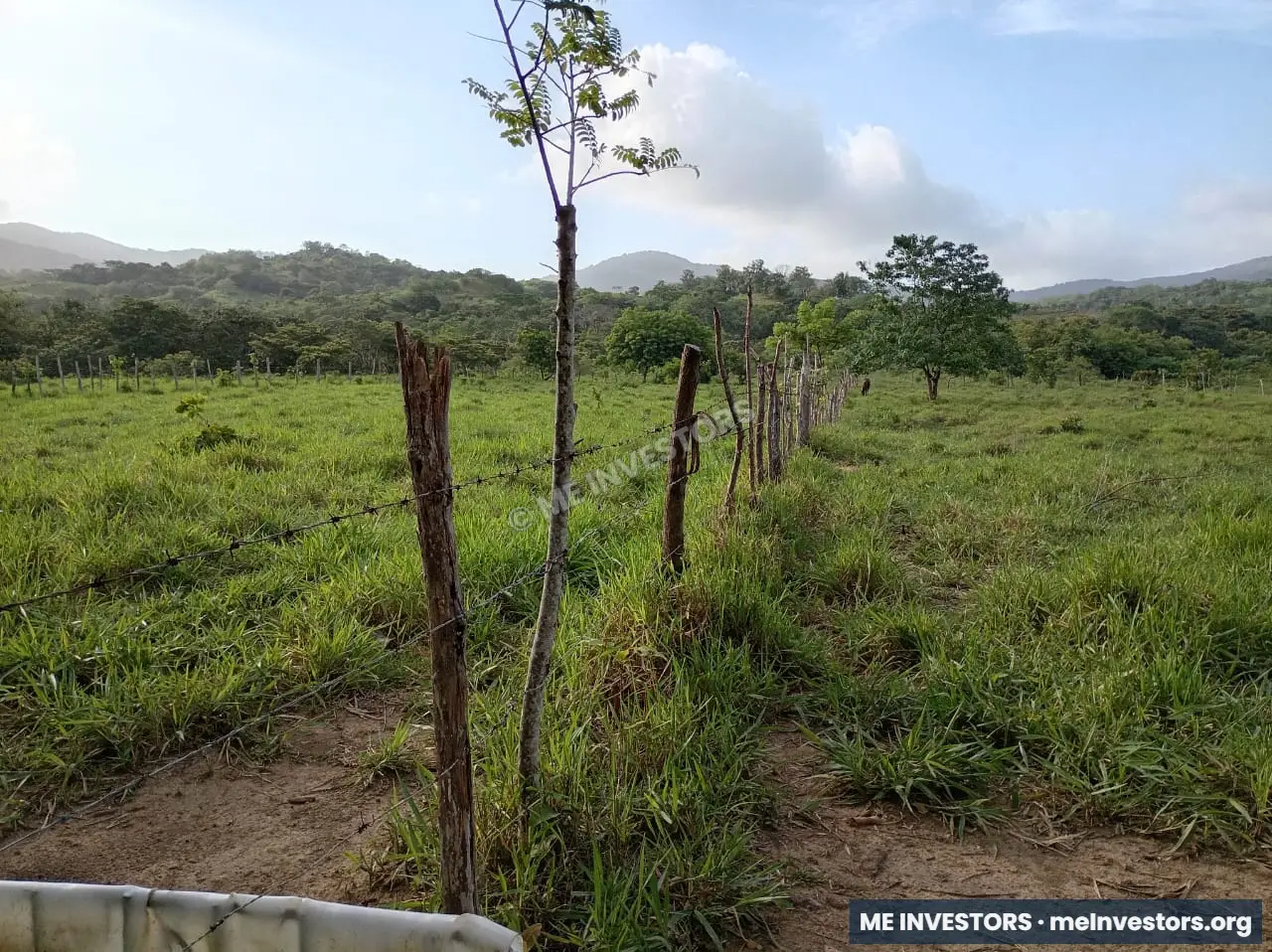 Finca | Chepo | 197,315.46 m², imagen 10