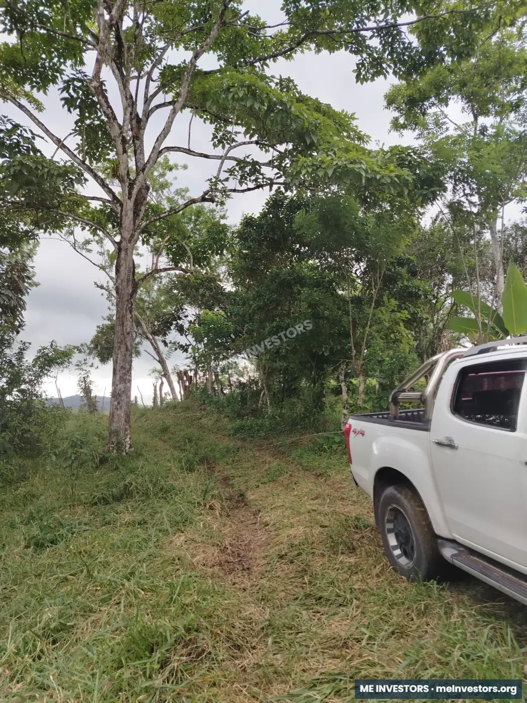 Lote | Trinidad Arriba, Capira | 25,548.32 m², imagen 18