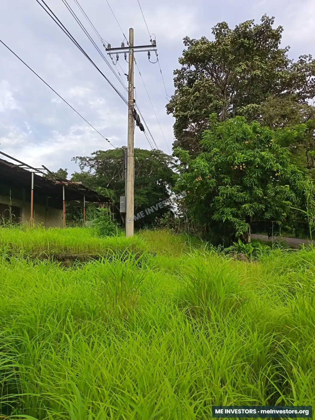 Terreno | Vía Ocú, Herrera | 2 hectáreas (20,000 m²) | $400,000, imagen 5