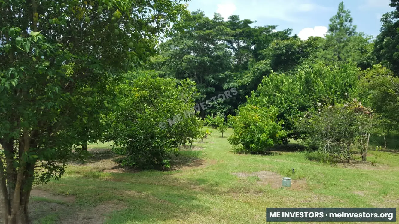 Finca en Sorá | 7 hectáreas | B/. 12 por m², imagen 3