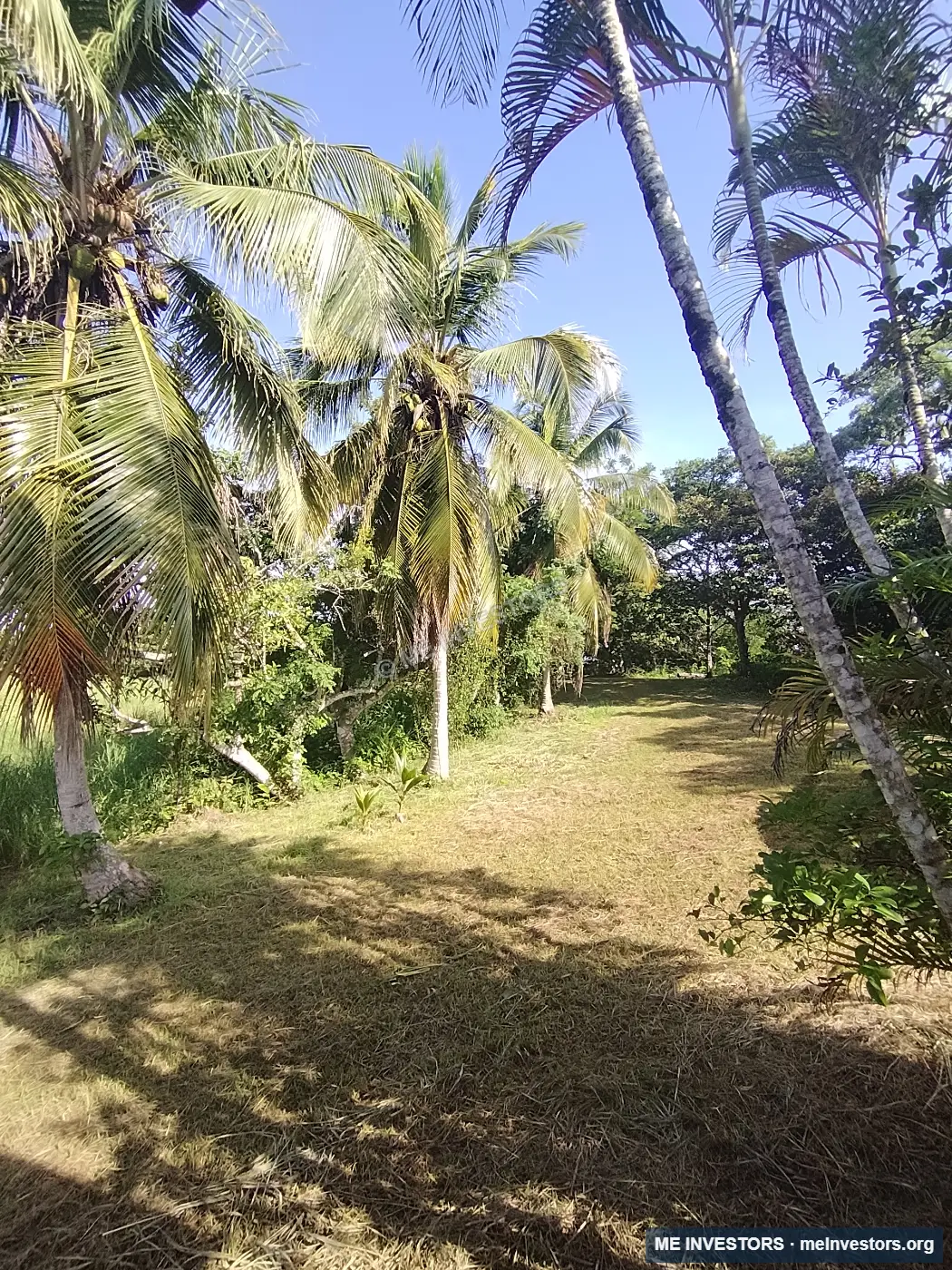 Finca | Los Laureles, Juan Díaz, Antón | 265,517.89 m², imagen 6