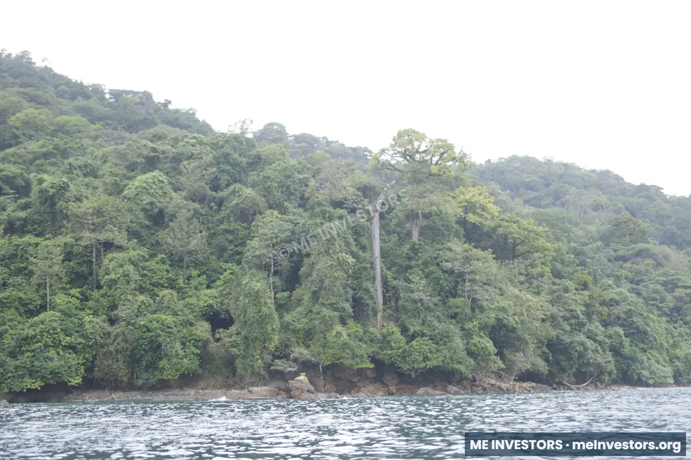 Bahía Piñas | 820 hectáreas | US$18,000,000, imagen 6