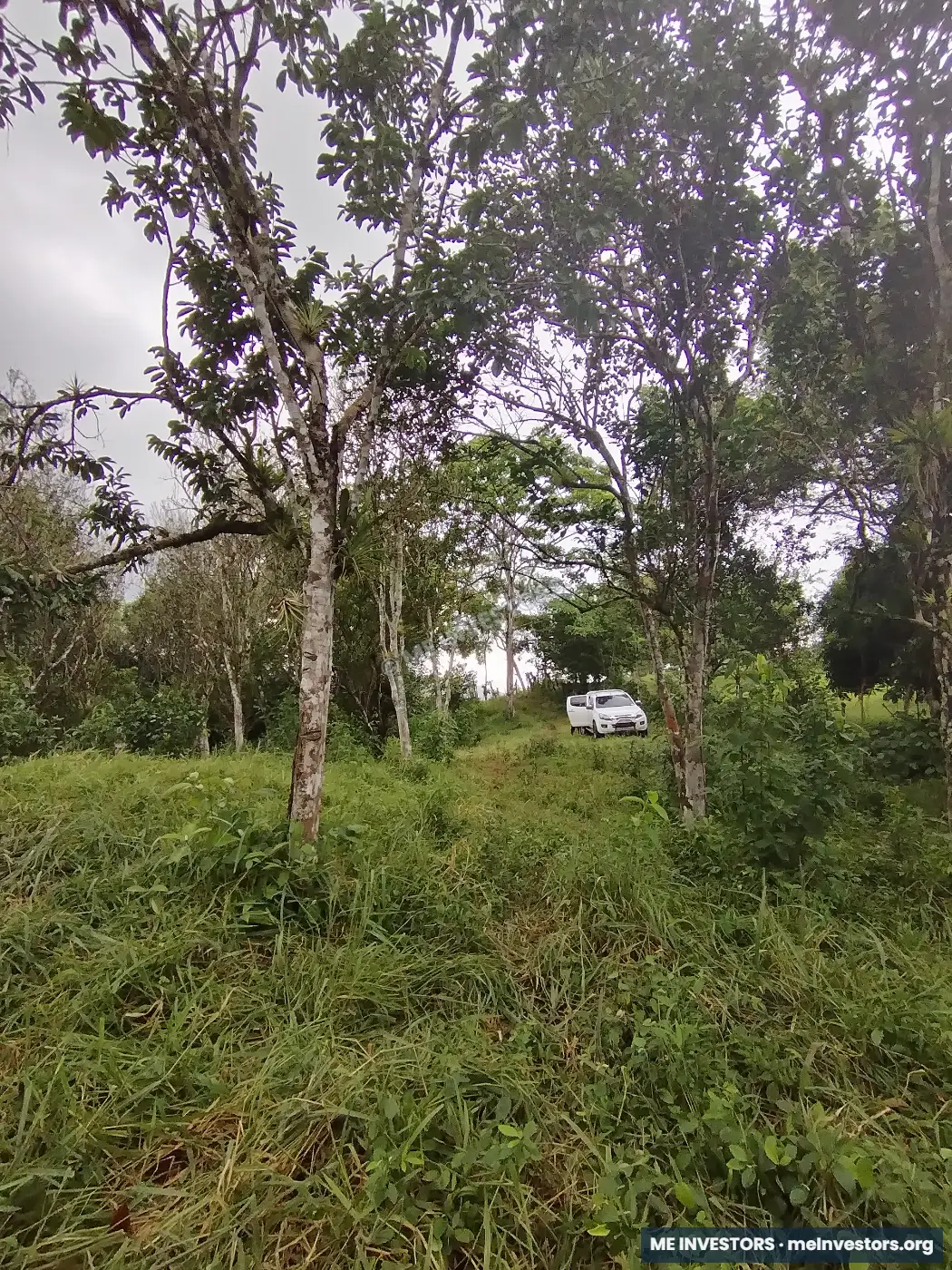 Lote | Trinidad Arriba, Capira | 25,548.32 m², imagen 14