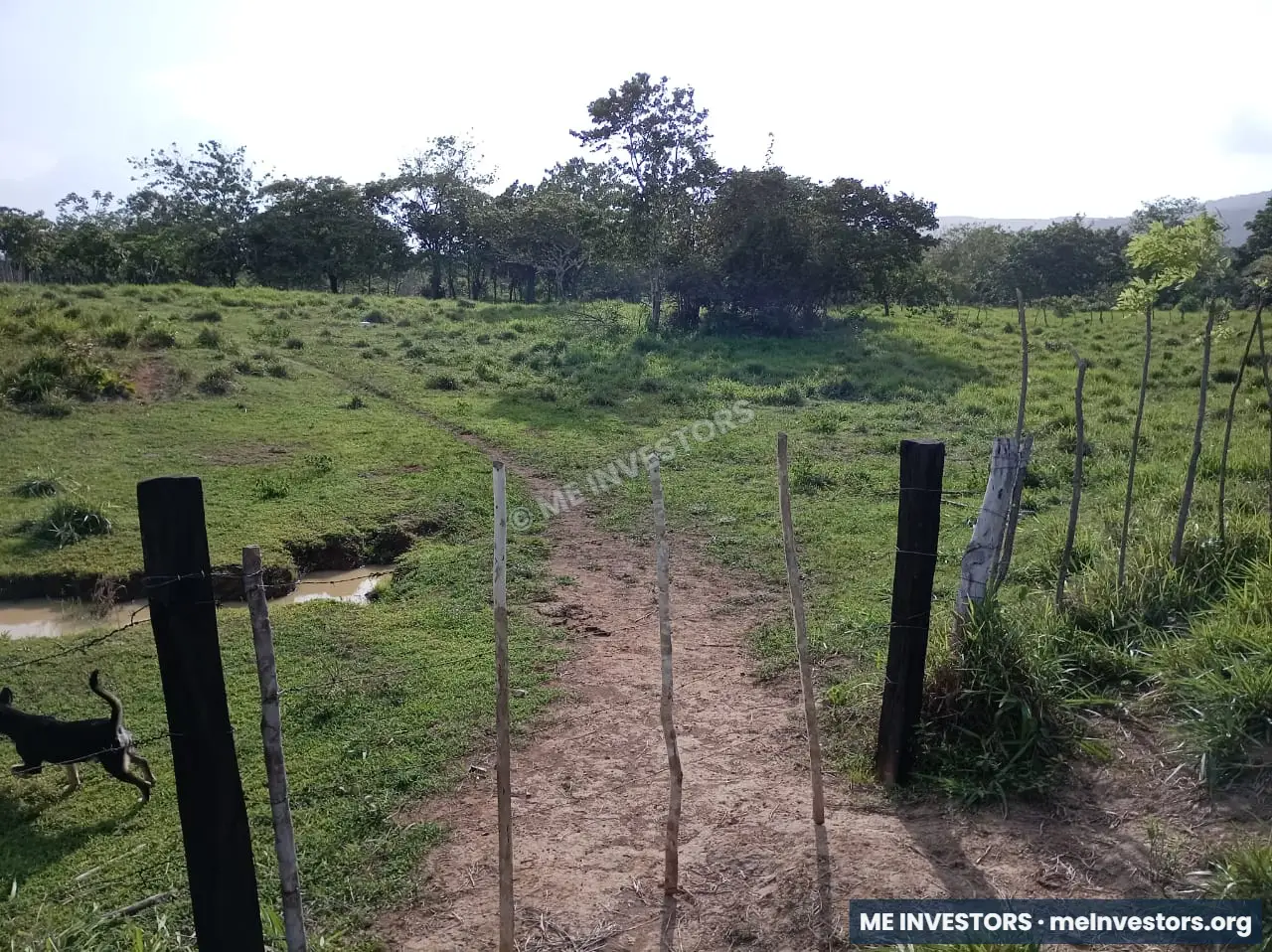 Finca | Chepo | 197,315.46 m², imagen 8