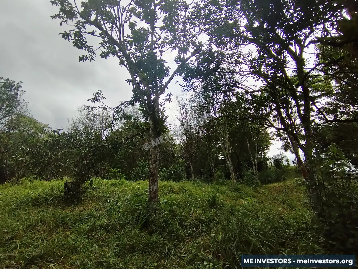 Lote | Trinidad Arriba, Capira | 25,548.32 m², imagen 4