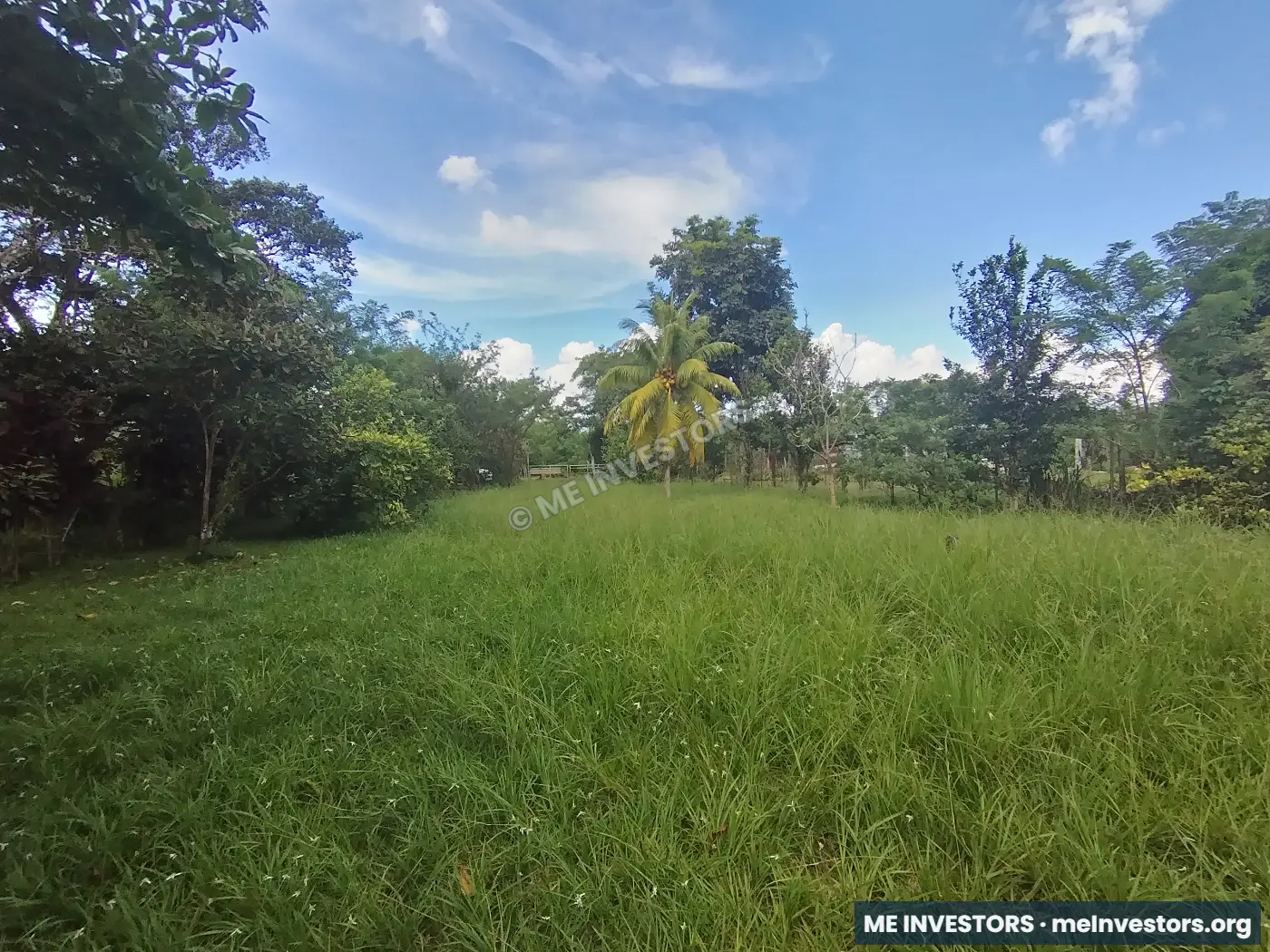 Finca Los Reyes, Antón | 1.5 hectáreas | $90,000.00, imagen 6