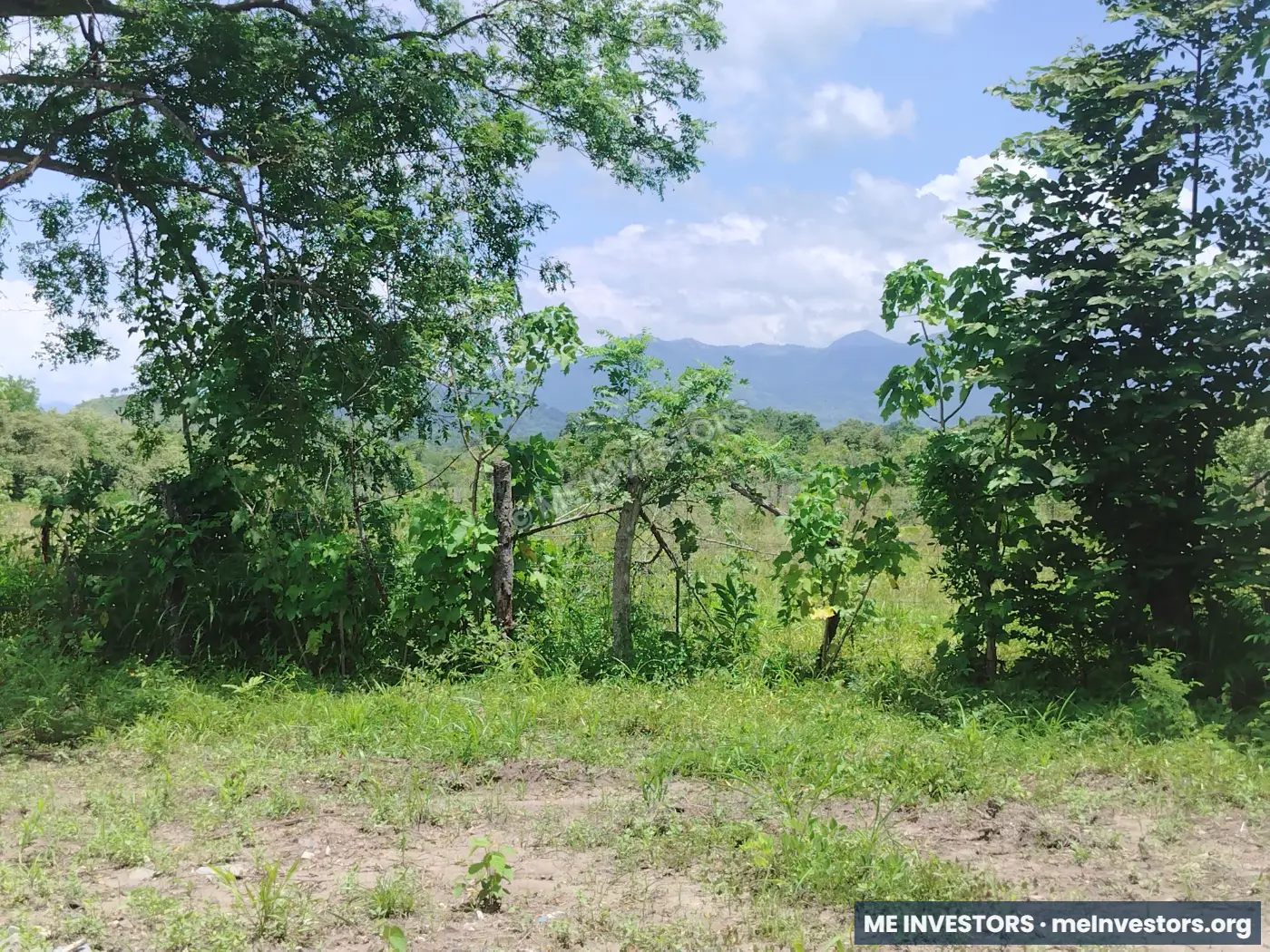 Lote | Coloncito, Chame | 1,000 m², imagen 9