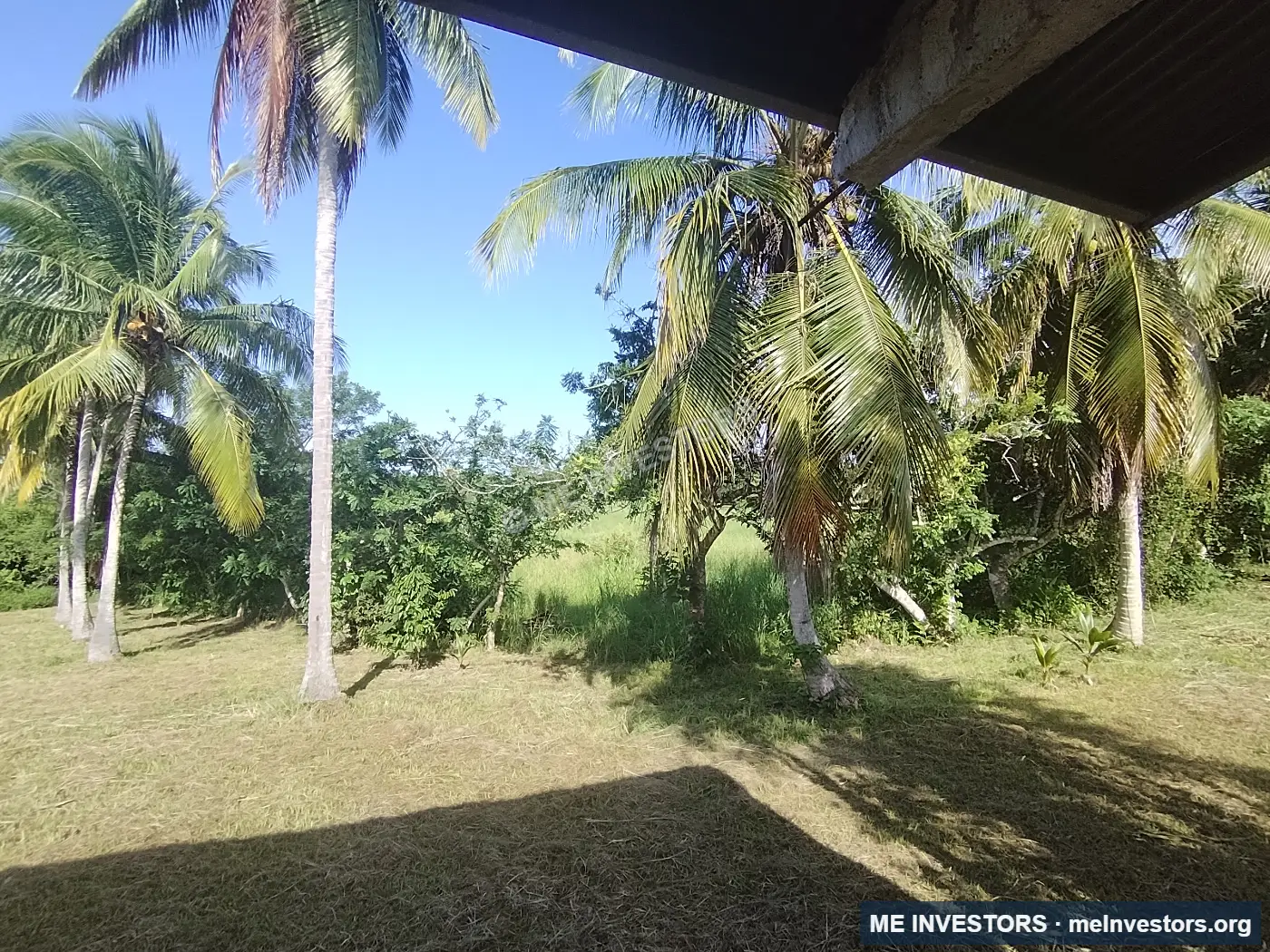 Finca | Los Laureles, Juan Díaz, Antón | 265,517.89 m², imagen 14