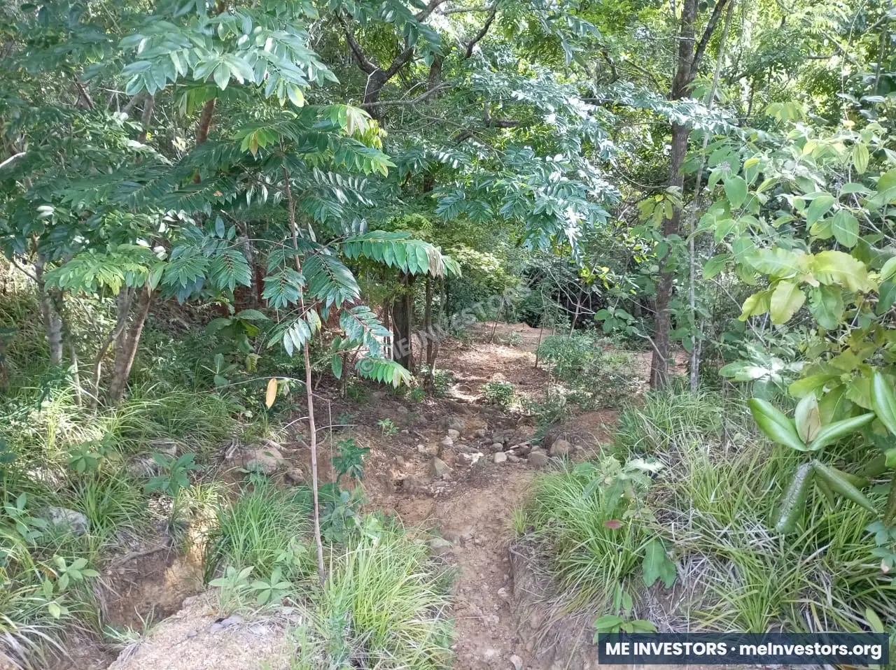 Finca | Chepo | 197,315.46 m², imagen 18