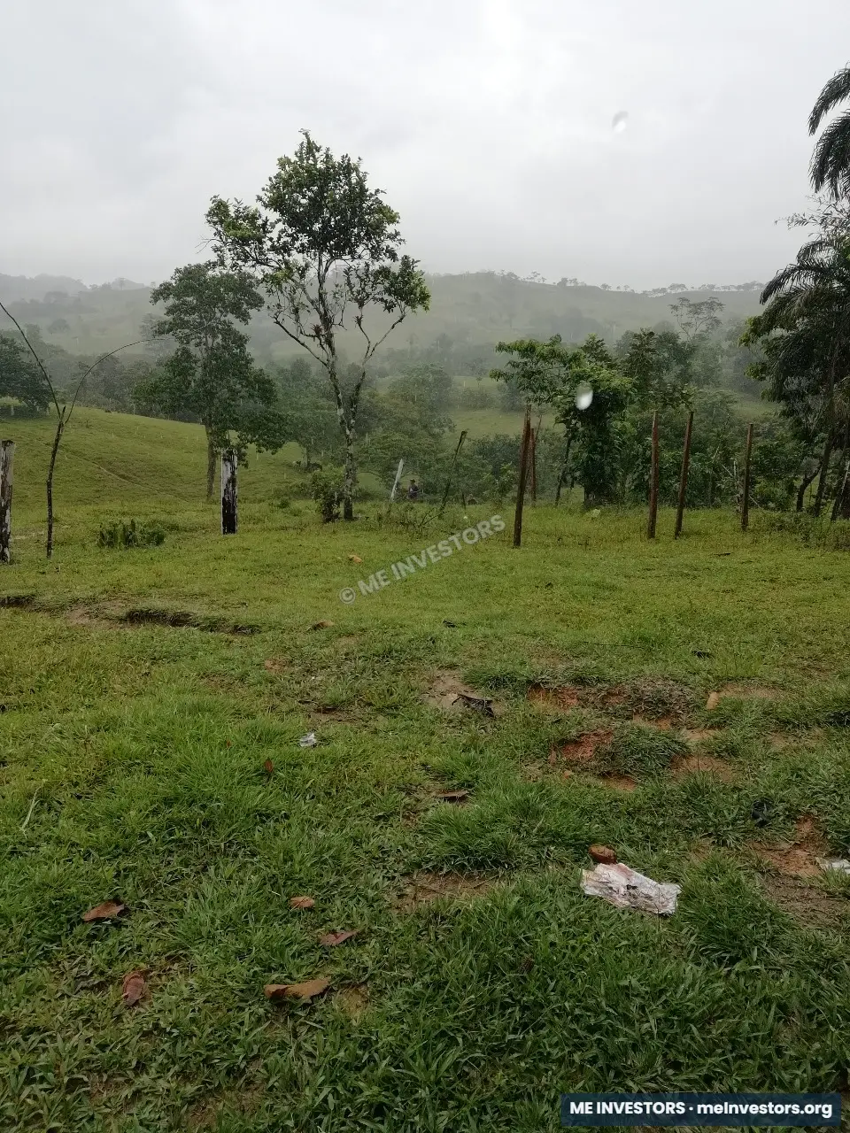 Finca Unión Santeña, Penonomé | 67 hectáreas | B/. 2,000 por hectárea, imagen 5