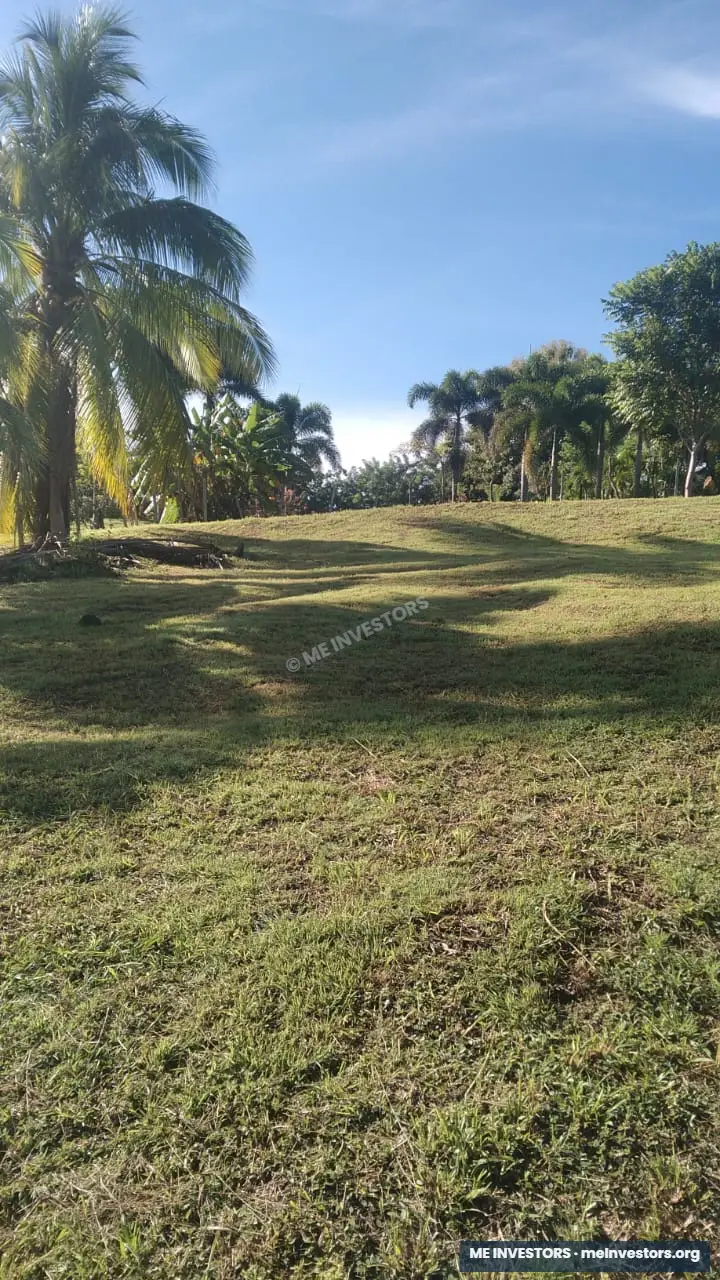Lote titulado | Cerro Gordo, San Carlos | 2,100 m² | $68,000.00, imagen 5