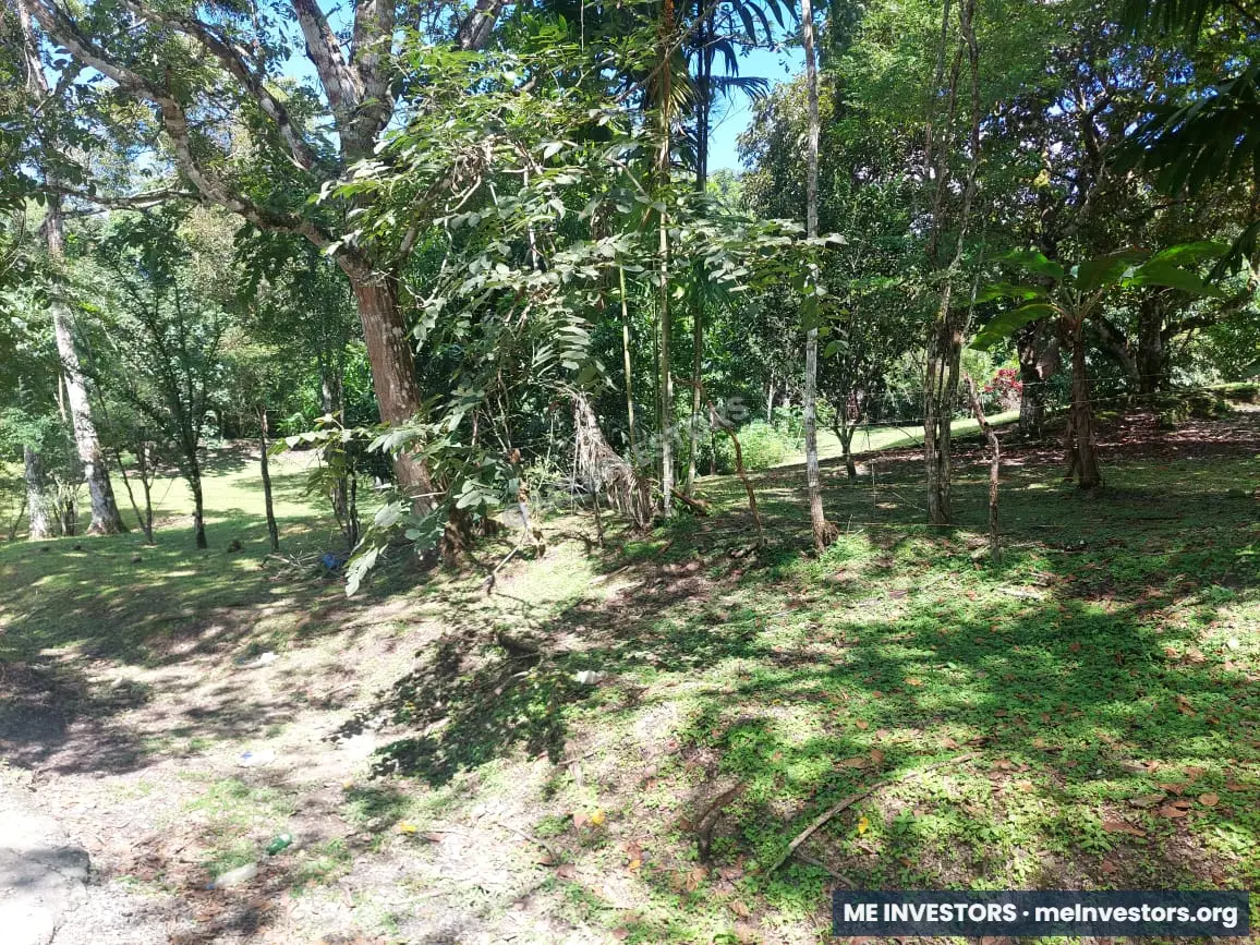 Lote Pajonal, Penonomé | 1,524.20 m² | $28,000.00, imagen 6
