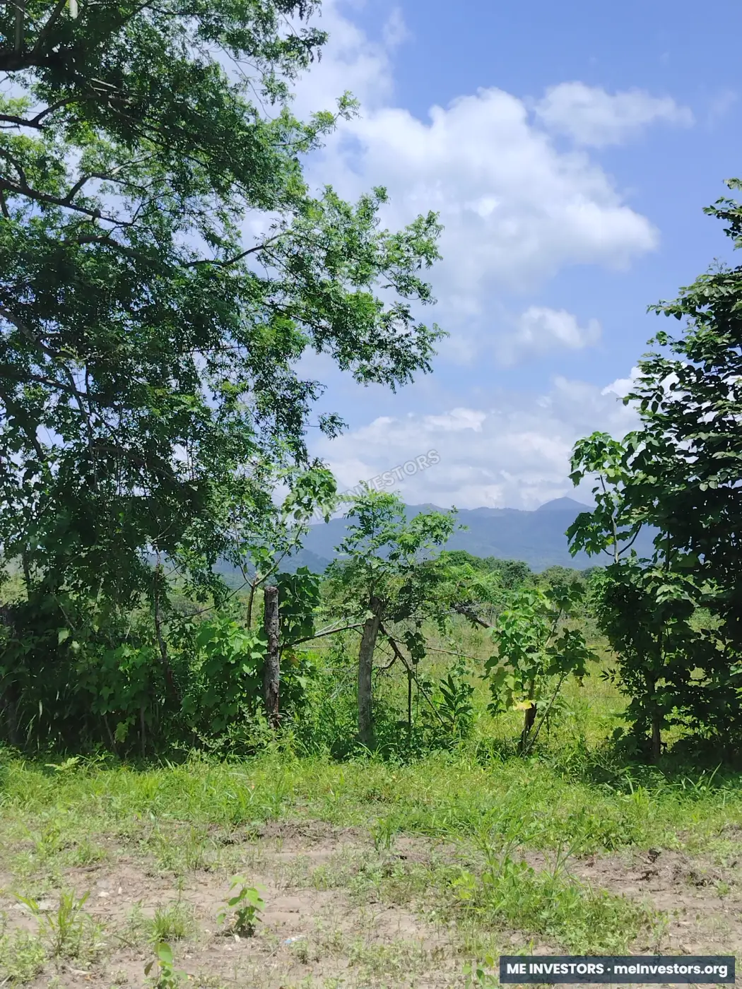Lote | Coloncito, Chame | 1,000 m², imagen 10