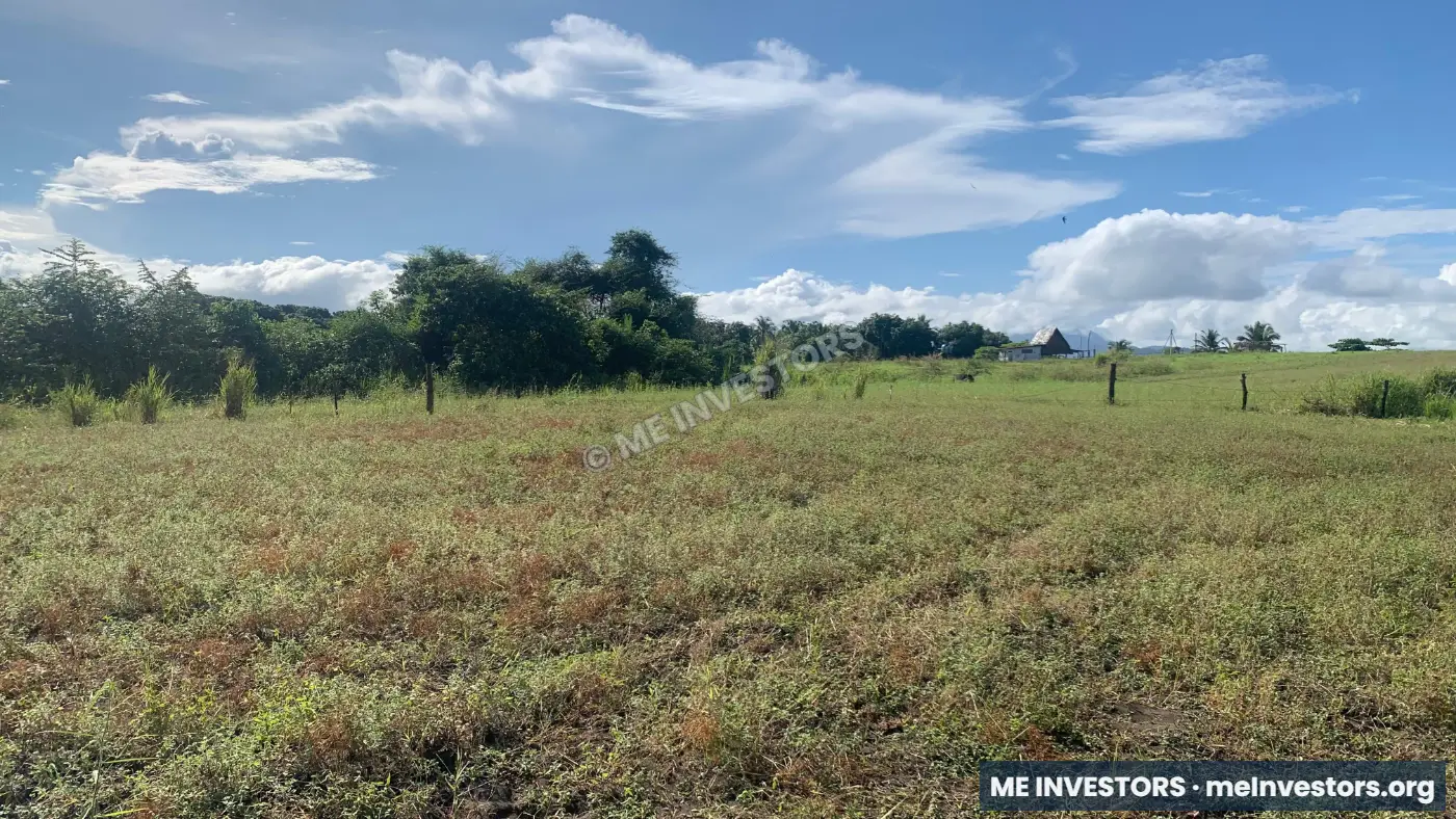 Lotes de 500 m² | Playa Cascajilloso, Veraguas | $17,500.00, imagen 8