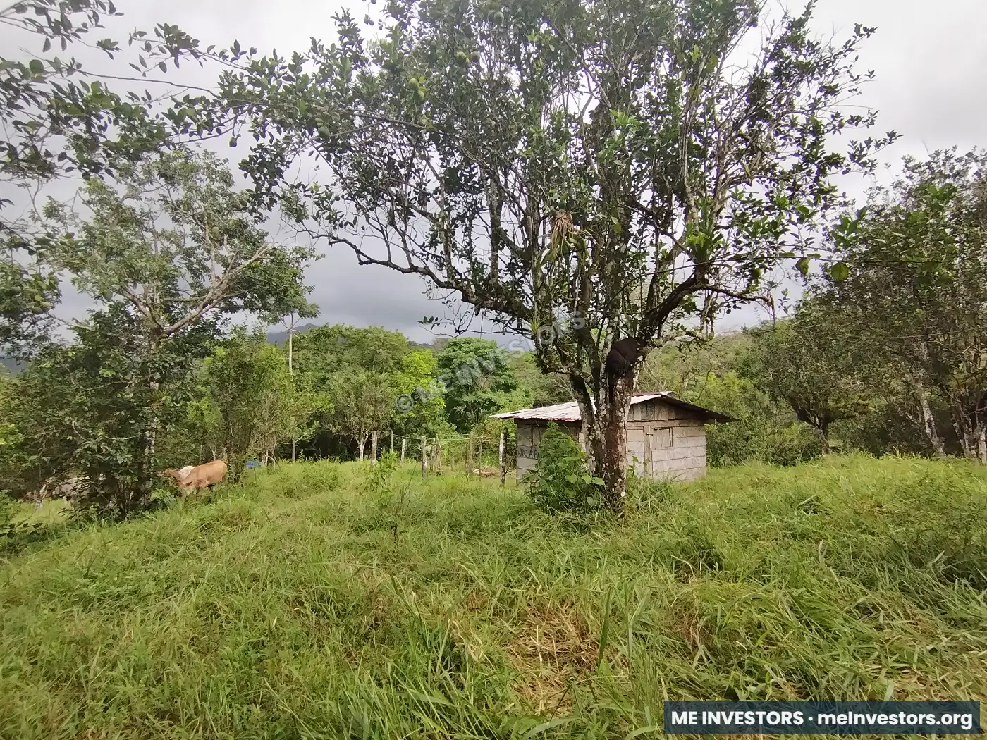 Lote | Trinidad Arriba, Capira | 25,548.32 m², imagen 3