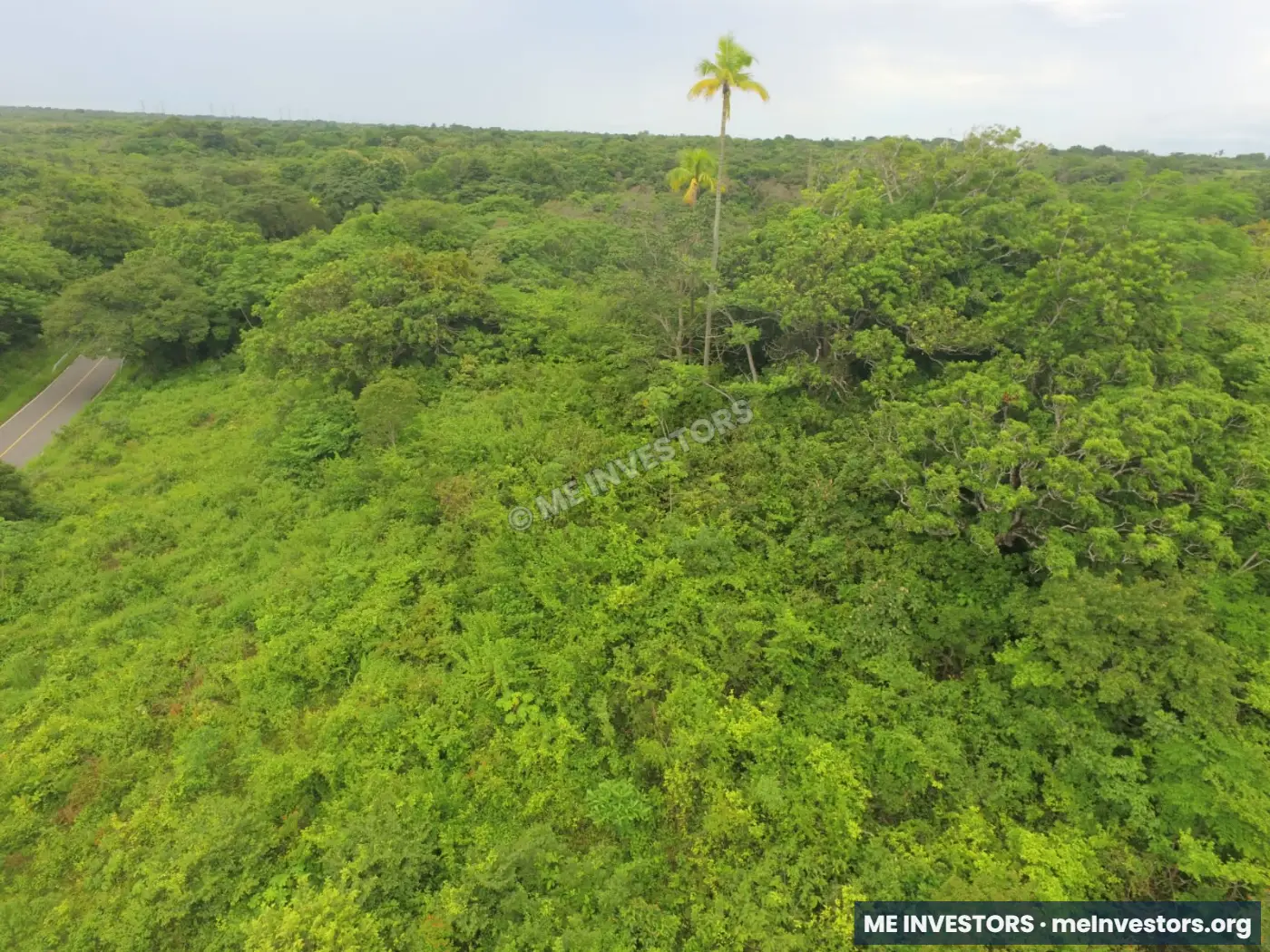 Lote El Marañón, Antón | 43,592.98 m² | $140,000, imagen 8