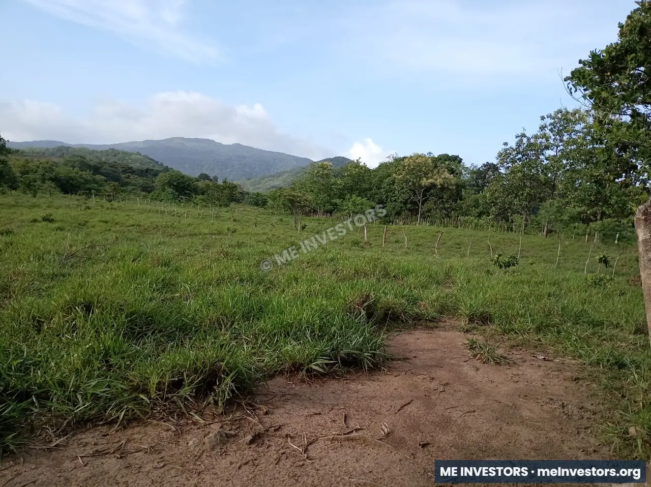 Finca | Chepo | 197,315.46 m², imagen 14