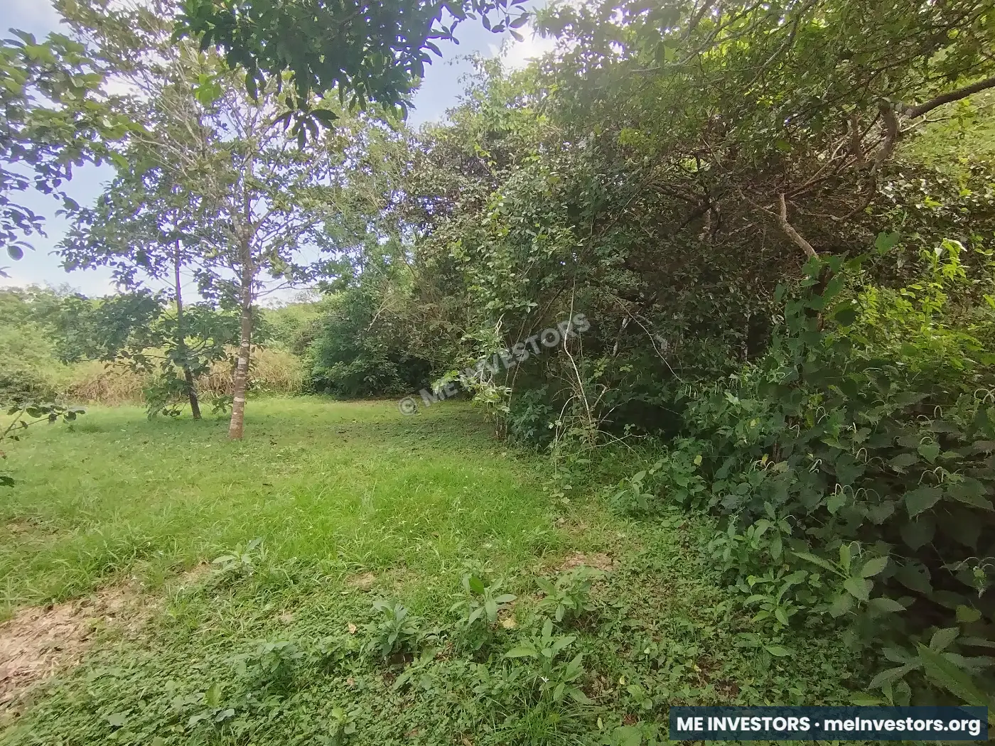 Finca Los Reyes, Antón | 1.5 hectáreas | $90,000.00, imagen 4