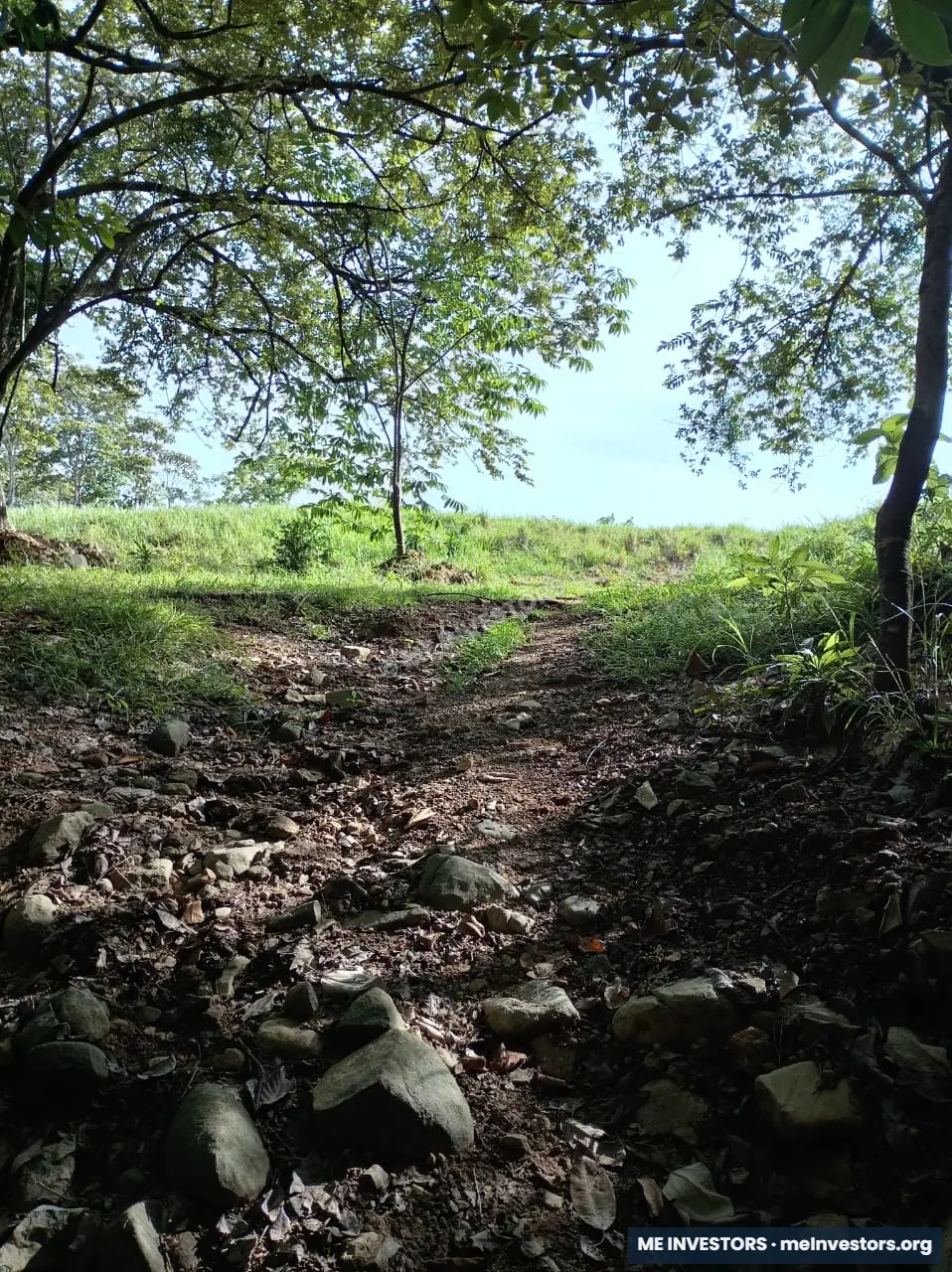 Finca | Chepo | 197,315.46 m², imagen 16
