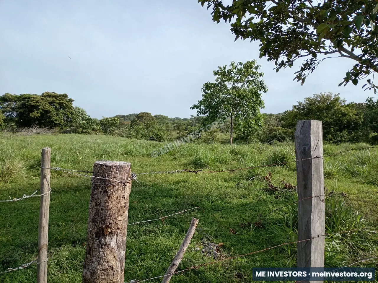 Finca | Chepo | 197,315.46 m², imagen 20