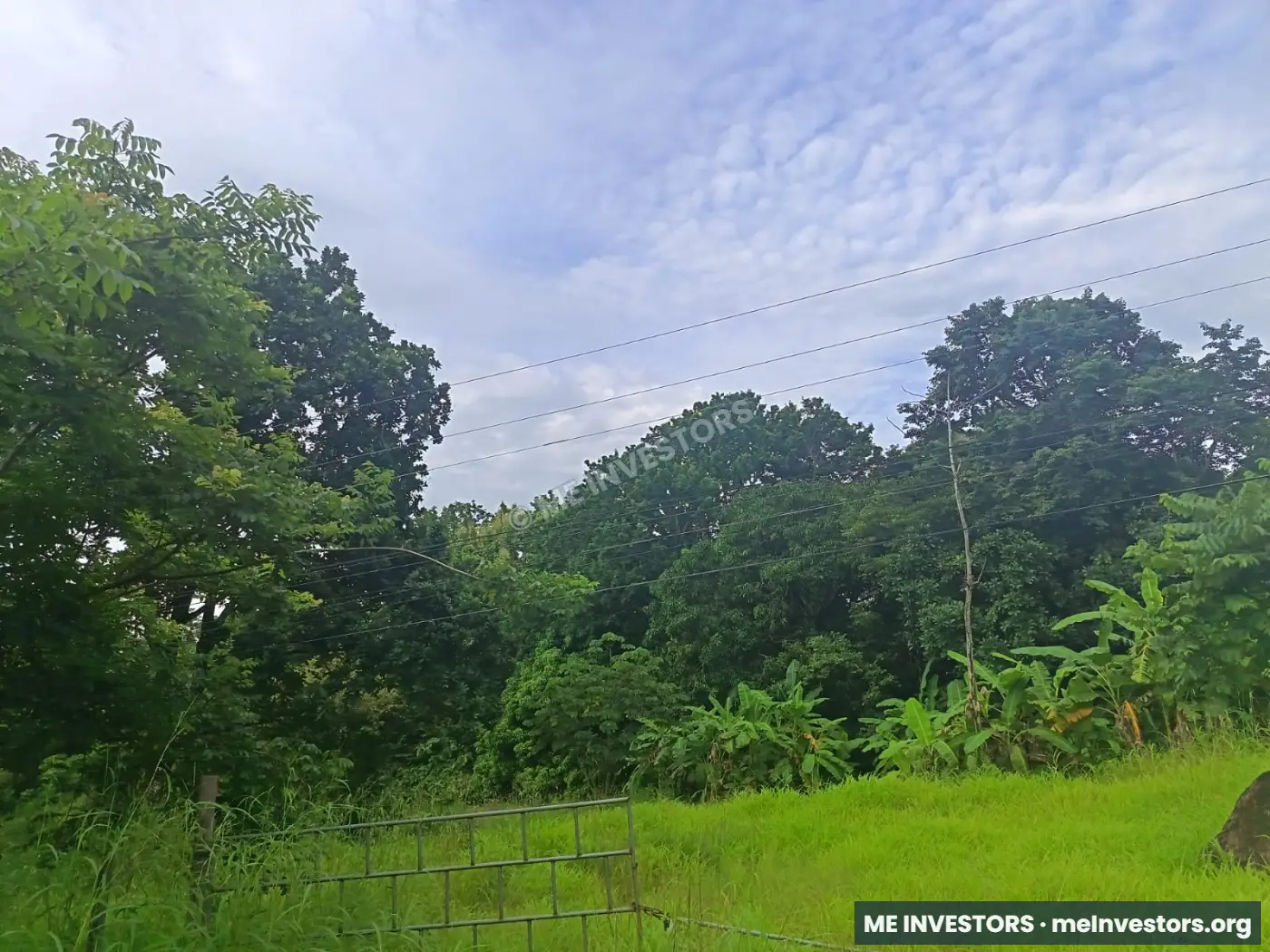 Terreno | Vía Ocú, Herrera | 2 hectáreas (20,000 m²) | $400,000, imagen 8