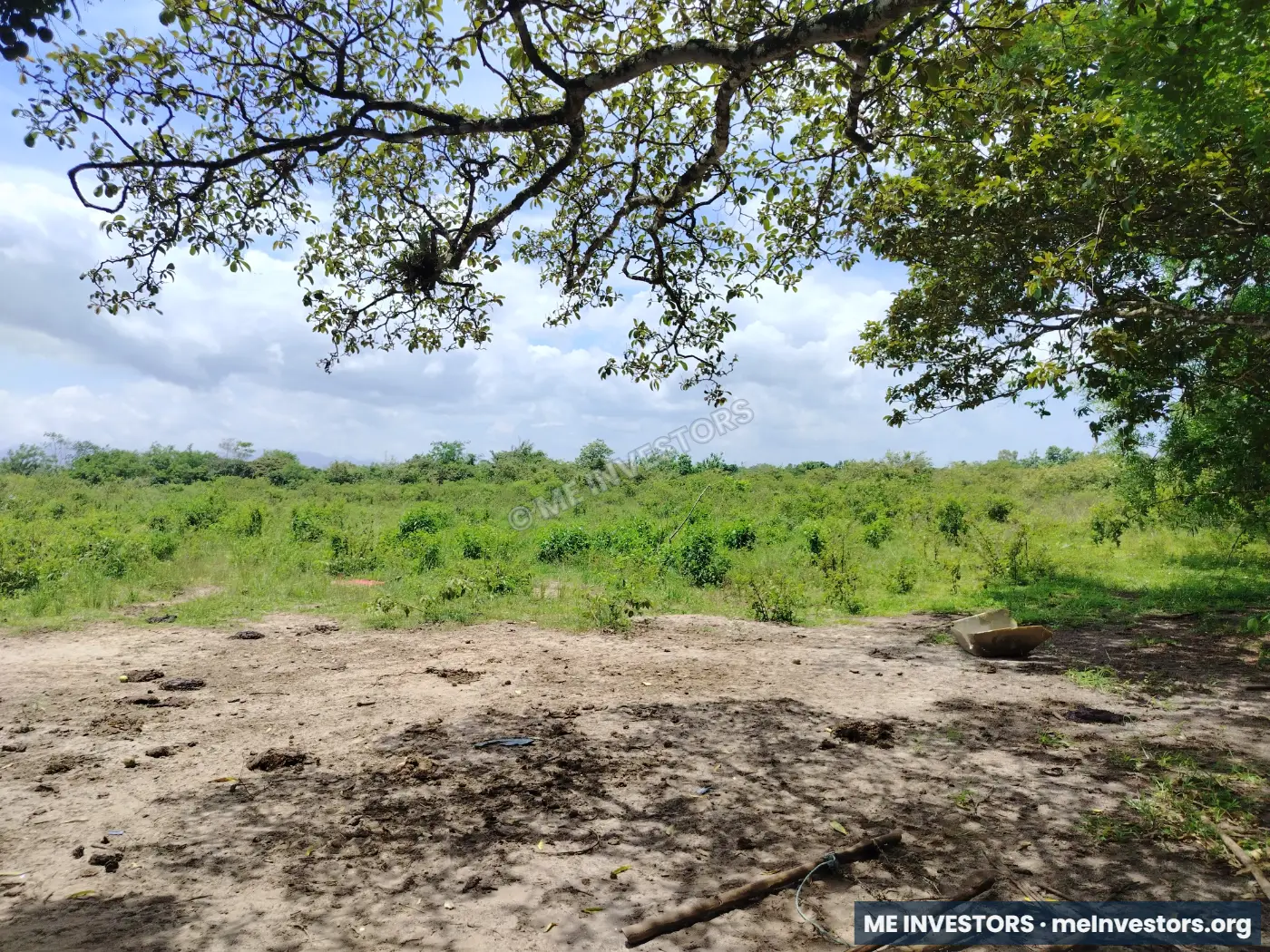 Lote El Espino, Antón | 4 hectáreas + 2,980.13 m² | $150,430.46, imagen 3