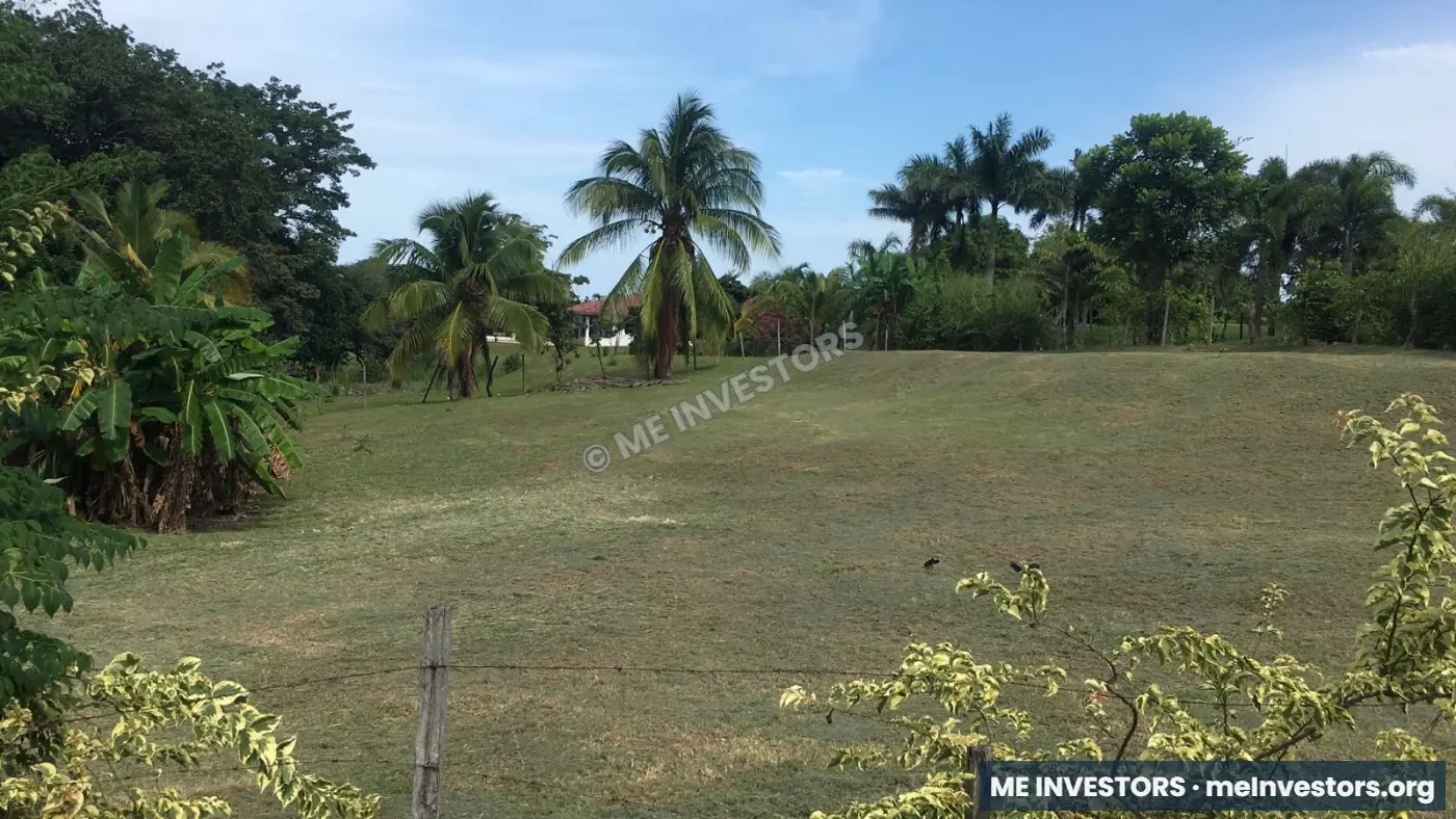 Lote titulado | Cerro Gordo, San Carlos | 2,100 m² | $68,000.00, imagen 4