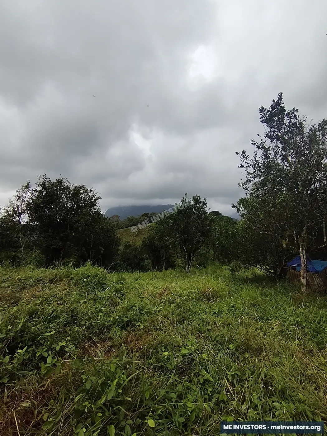 Lote | Trinidad Arriba, Capira | 25,548.32 m², imagen 8
