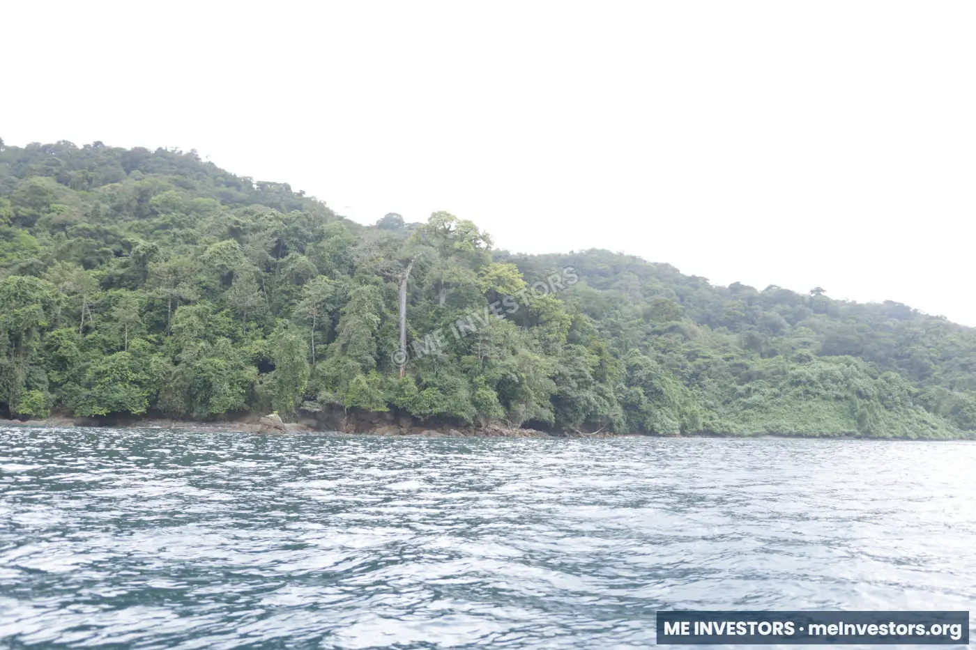 Bahía Piñas | 820 hectáreas | US$18,000,000, imagen 8