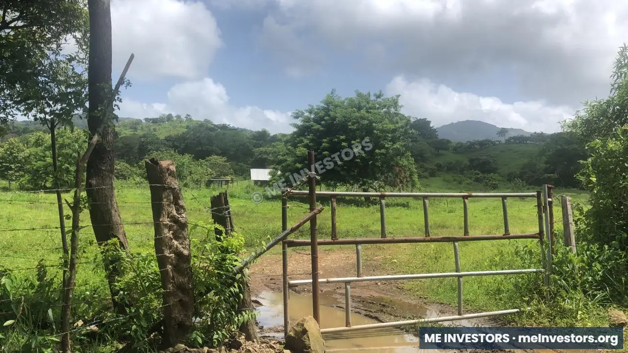 Finca titulada de 25 hectáreas | Unión de Azuero, Tanara | $325,000.00, imagen 5