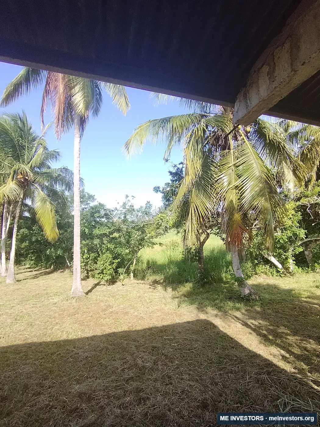 Finca | Los Laureles, Juan Díaz, Antón | 265,517.89 m², imagen 15