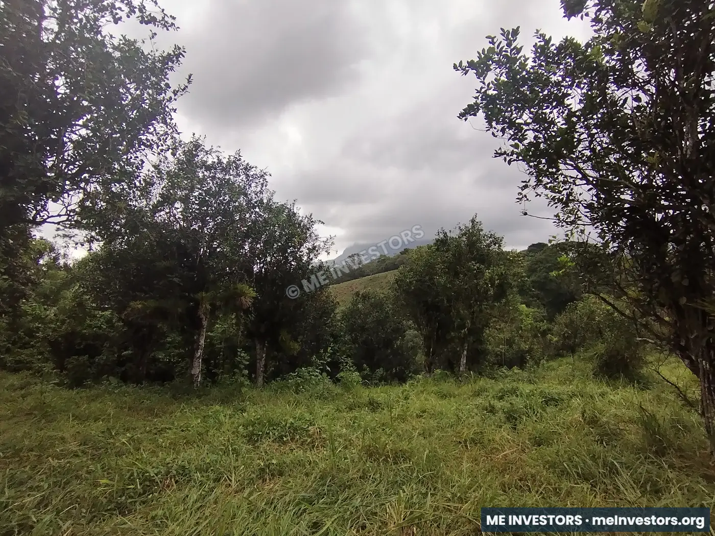 Lote | Trinidad Arriba, Capira | 25,548.32 m², imagen 11
