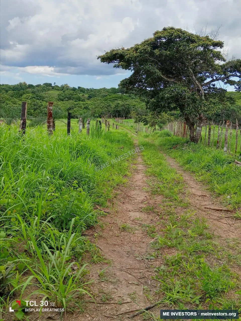 Finca | Los Laureles, Juan Díaz, Antón | 265,517.89 m², imagen 20