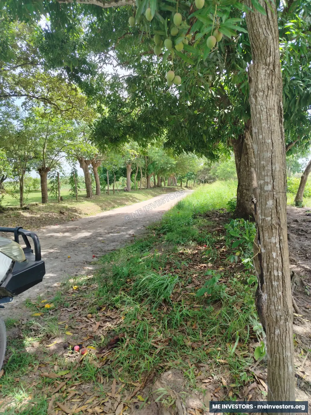 Lote El Espino, Antón | 4 hectáreas + 2,980.13 m² | $150,430.46, imagen 4