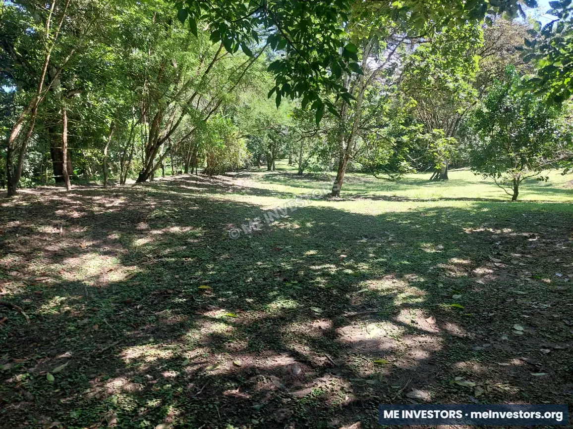 Lote Pajonal, Penonomé | 1,524.20 m² | $28,000.00, imagen 4