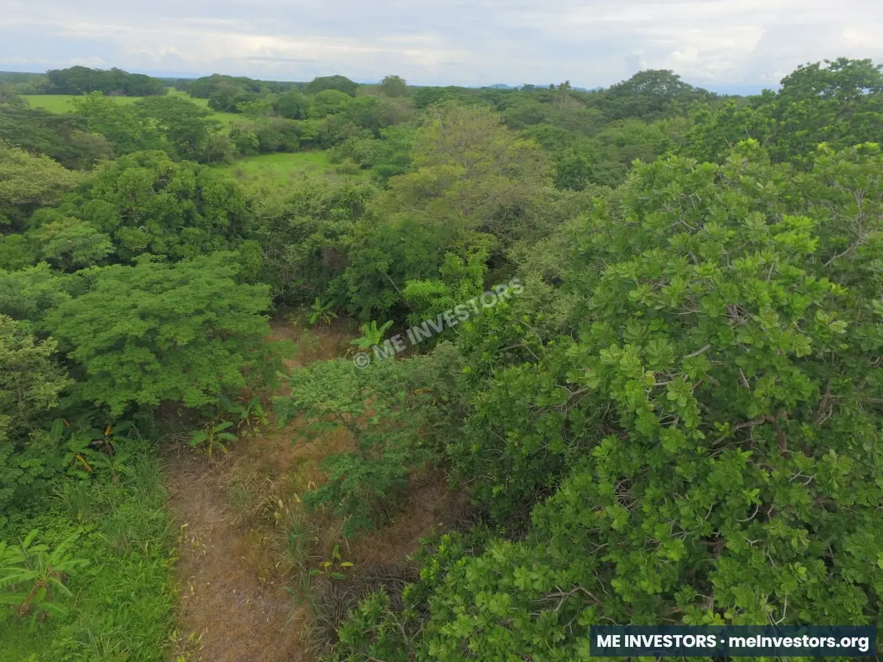 Lote El Jobo, Antón | 8,469.19 m² | $45,000.00, imagen 3